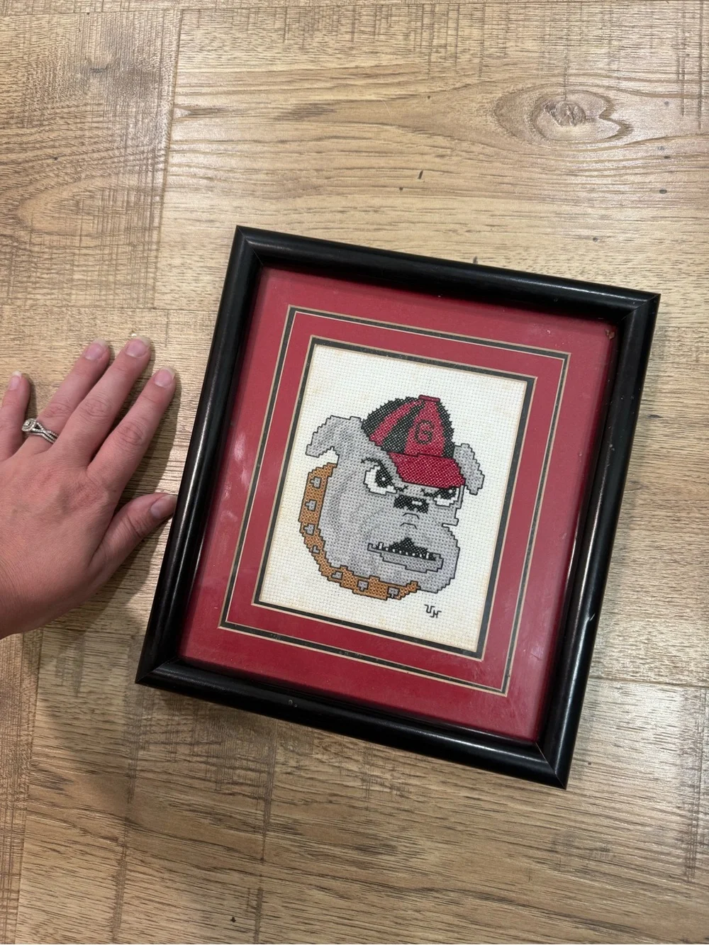 Framed Cross-Stitch Georgia Bulldog Artwork - Red Accents